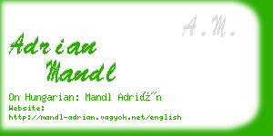 adrian mandl business card